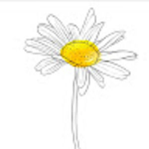 Meet your Posher, Jessie